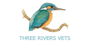 Three Rivers Vet Group